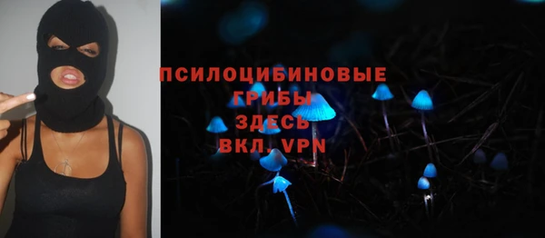 круглые Алзамай